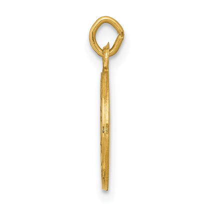 14k Yellow Gold Saint Elizabeth Seton Medal Charm