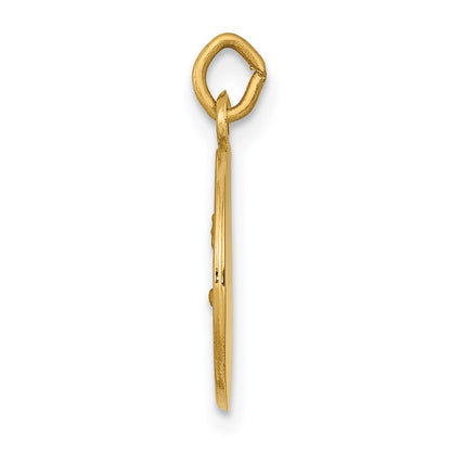 14k Yellow Gold Saint John Medal Charm