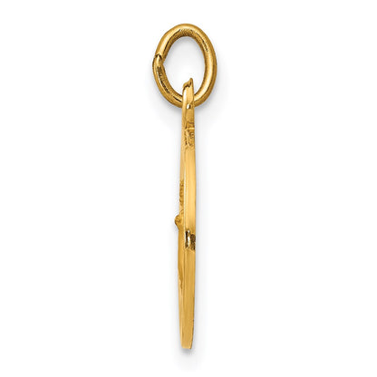 14k Yellow Gold Infant of Prague Medal Charm