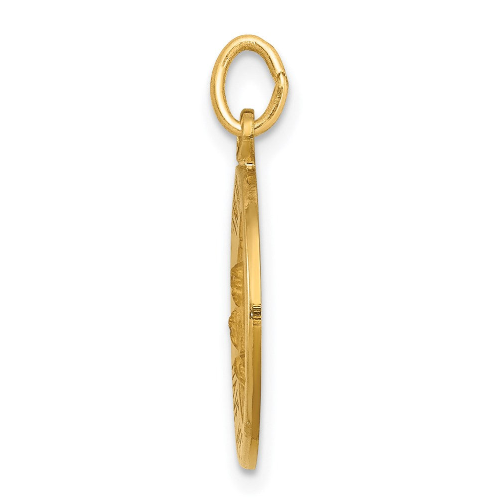 14k Yellow Gold Infant Jesus Medal Charm