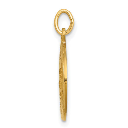 14k Yellow Gold Infant Jesus Medal Charm