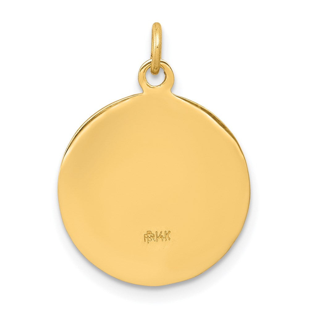14k Yellow Gold Infant Jesus Medal Charm