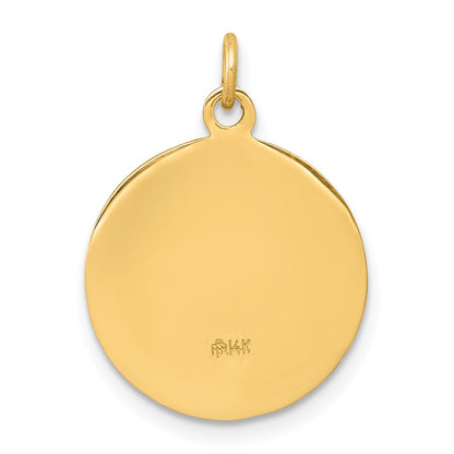 14k Yellow Gold Infant Jesus Medal Charm