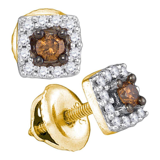 10k Yellow Gold Round Brown Diamond Square Earrings 1/4 Cttw