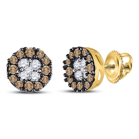 10k Yellow Gold Round Brown Diamond Cluster Earrings 1/3 Cttw