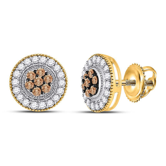 10k Yellow Gold Round Brown Diamond Cluster Earrings 5/8 Cttw